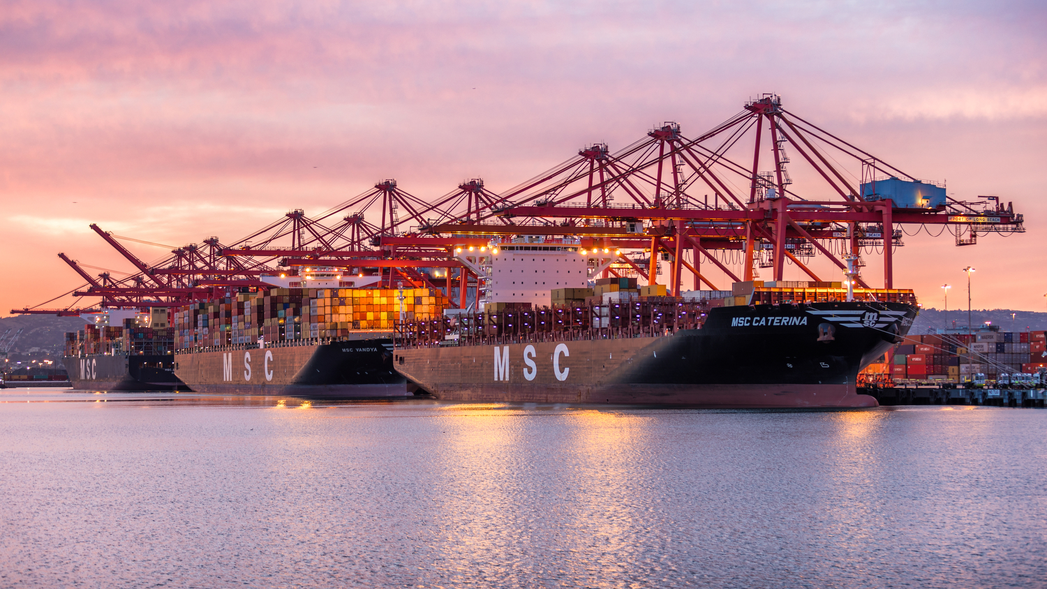 Three MSC ships are docked at Total Terminals International at Pier T, the PortÕs largest terminal.